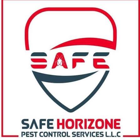 SafeHorizon2